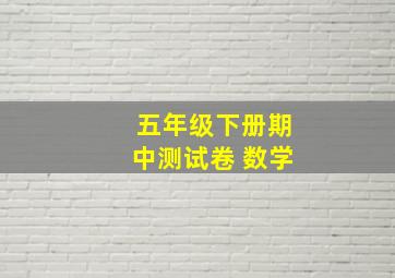 五年级下册期中测试卷 数学